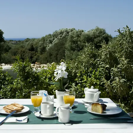 Rural Binigaus Vell Hotel 4*