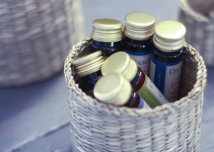 Rural Binigaus Vell Es Migjorn Gran