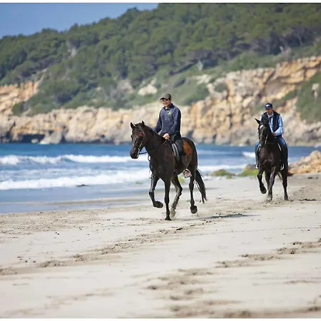 호텔 Rural Binigaus Vell 4*